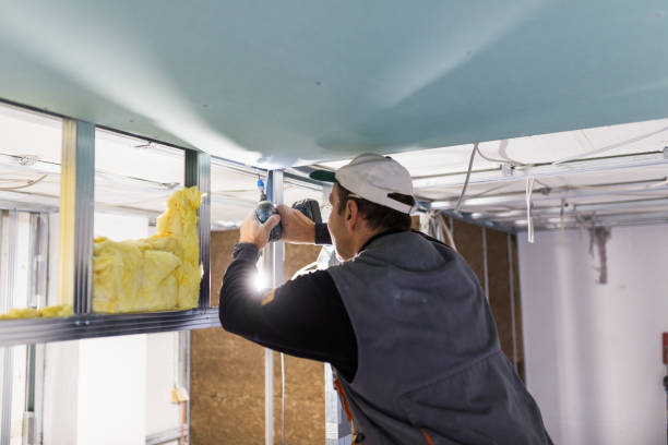 Best Insulation Installation Services in Hemlock, MI